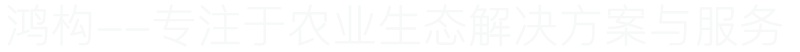 鸿构控股(hongocn)-www.hongocn.com